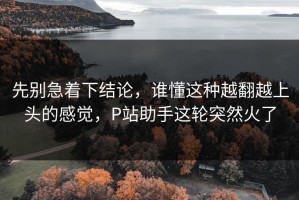 先别急着下结论，谁懂这种越翻越上头的感觉，P站助手这轮突然火了