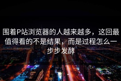 围着P站浏览器的人越来越多，这回最值得看的不是结果，而是过程怎么一步步发酵