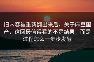 旧内容被重新翻出来后，关于麻豆国产，这回最值得看的不是结果，而是过程怎么一步步发酵