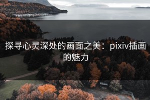 探寻心灵深处的画面之美：pixiv插画的魅力