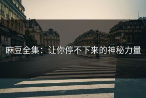 麻豆全集：让你停不下来的神秘力量