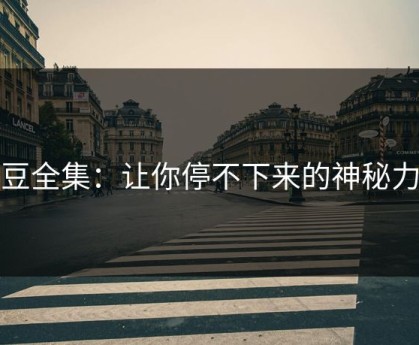 麻豆全集：让你停不下来的神秘力量