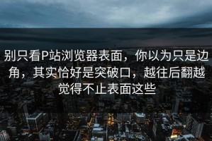别只看P站浏览器表面，你以为只是边角，其实恰好是突破口，越往后翻越觉得不止表面这些
