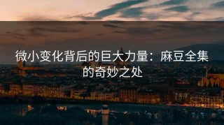 微小变化背后的巨大力量：麻豆全集的奇妙之处