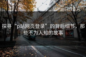 探寻“p站网页登录”的背后细节，那些不为人知的故事