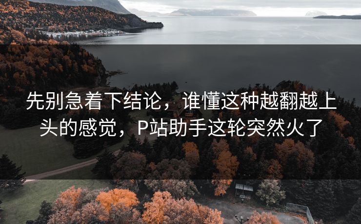 先别急着下结论，谁懂这种越翻越上头的感觉，P站助手这轮突然火了