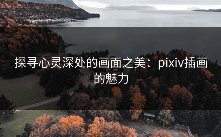 探寻心灵深处的画面之美：pixiv插画的魅力