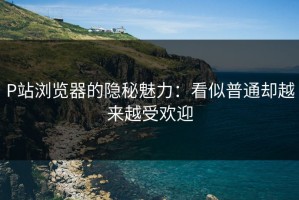 P站浏览器的隐秘魅力：看似普通却越来越受欢迎