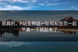 说真的，P站全称这一轮和标签页一起节奏一下就起来了