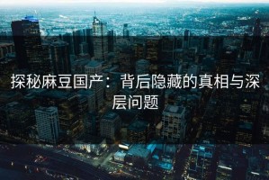 探秘麻豆国产：背后隐藏的真相与深层问题