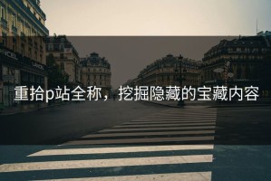 重拾p站全称，挖掘隐藏的宝藏内容