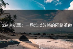 p站浏览器：一场难以忽略的网络革命