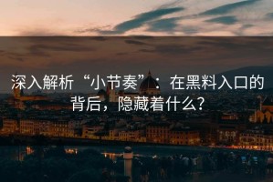 深入解析“小节奏”：在黑料入口的背后，隐藏着什么？