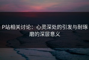 P站相关讨论：心灵深处的引发与耐琢磨的深层意义