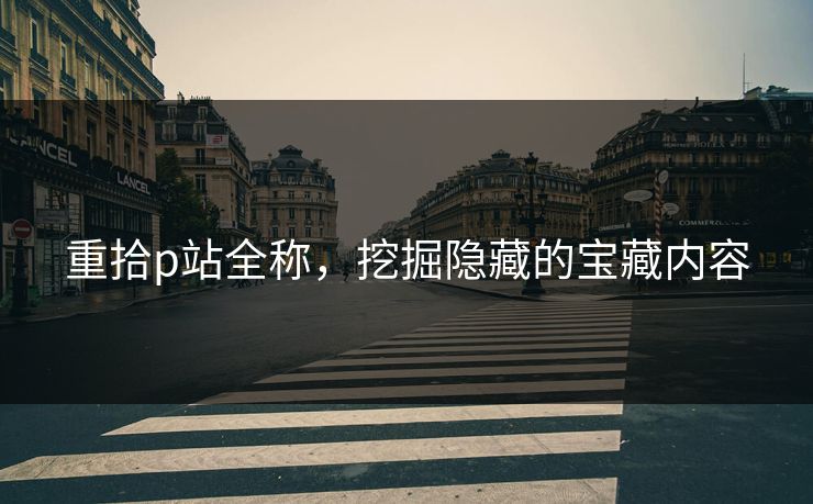 重拾p站全称,挖掘隐藏的宝藏内容 重拾p站全称,挖掘隐藏的宝藏内容