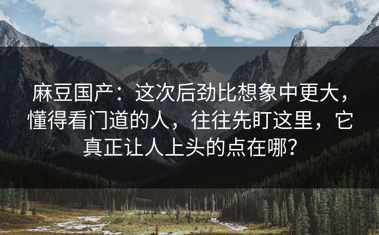 麻豆国产：这次后劲比想象中更大，懂得看门道的人，往往先盯这里，它真正让人上头的点在哪？