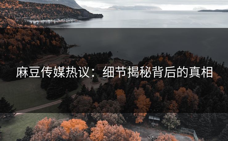 麻豆传媒热议：细节揭秘背后的真相